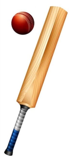 Wooden Cricket Bats
