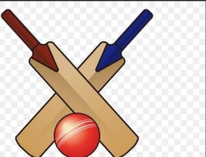 Composite Cricket Bats